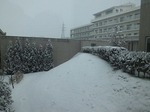 2012年2月29日